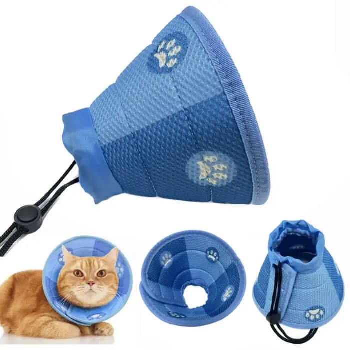 Collier de protection réglable anti-morsure pour chat