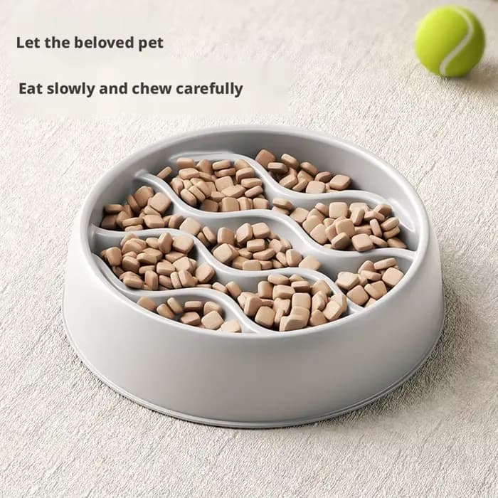 Bol de nourriture lente pour chien et chat