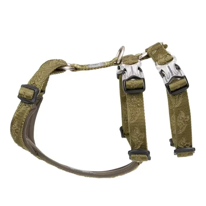 Nylon SFP Double-H personnalisé pour chien