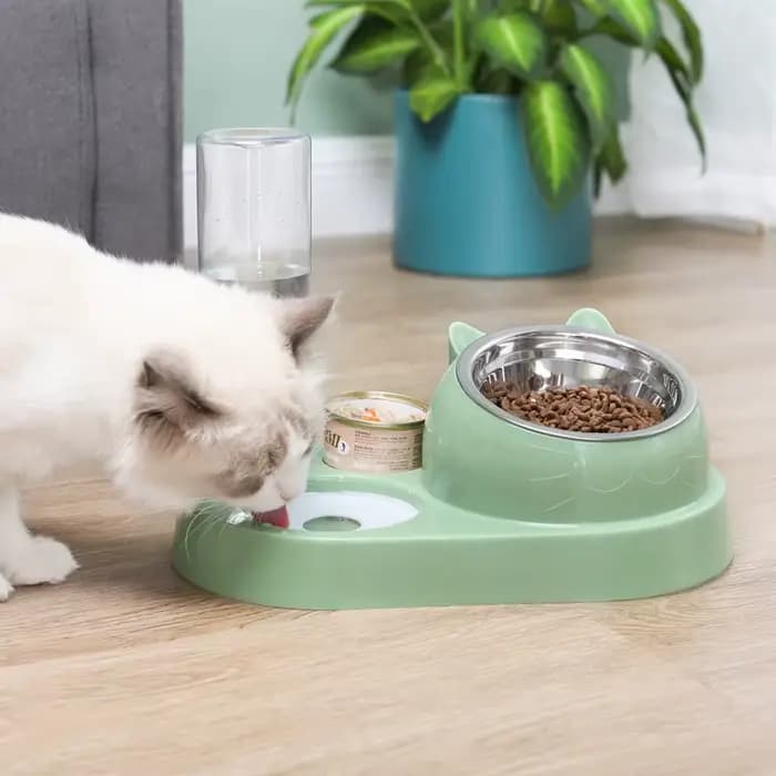 Nouveau 2-en-1 chat bol distributeur d'eau stockage