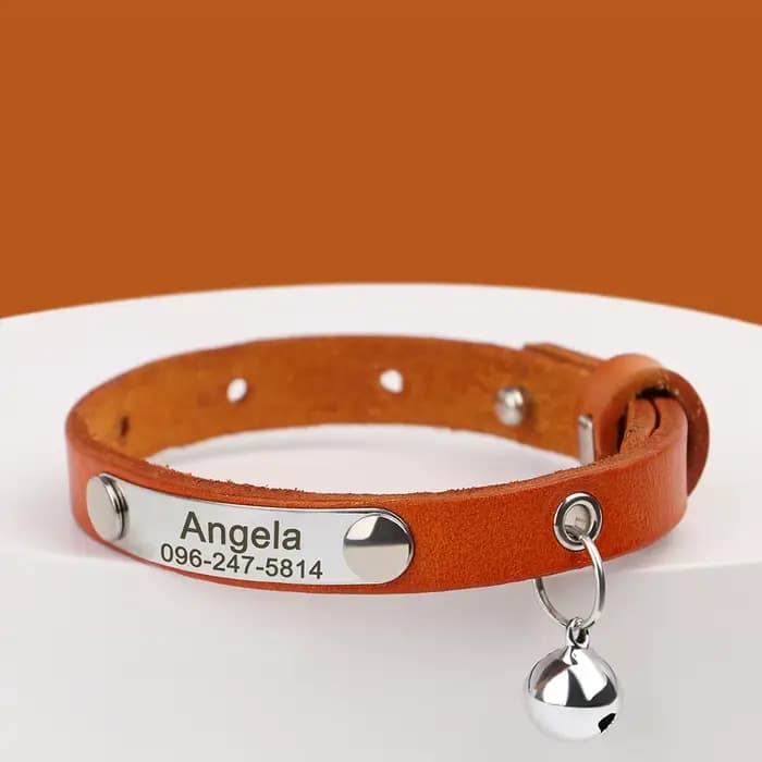 Collier de chat personnalisé réglable en cuir colliers de chats de compagnie