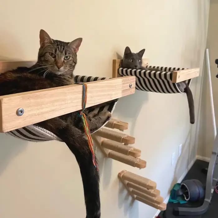Tour d'arbre à chat en bois