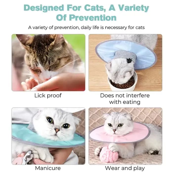 Collier de récupération pour animaux de compagnie