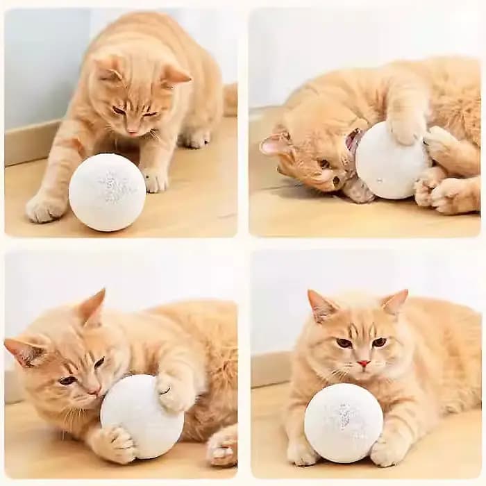 Jouet pour chat : Balle en laine silencieuse pour le plaisir autonome