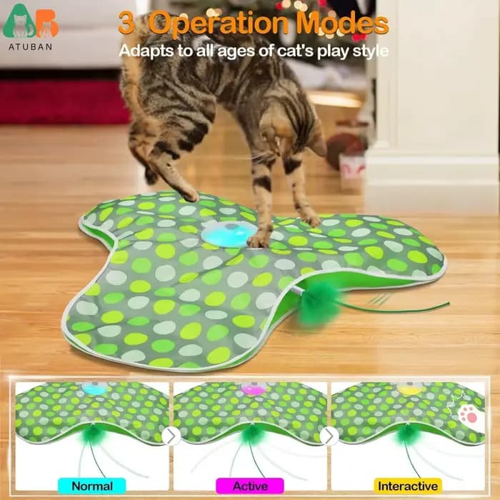 Jouets interactifs pour chat rechargeables