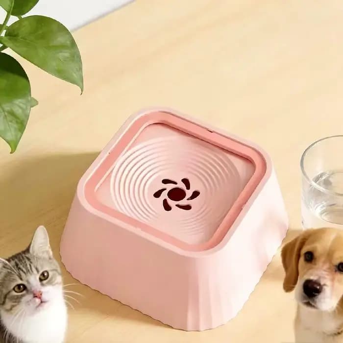 Bol à eau flottant pour animaux de compagnie