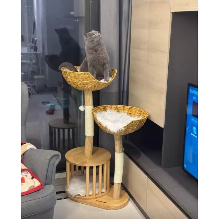 Arbre à chat en bois massif en forme d'arbre