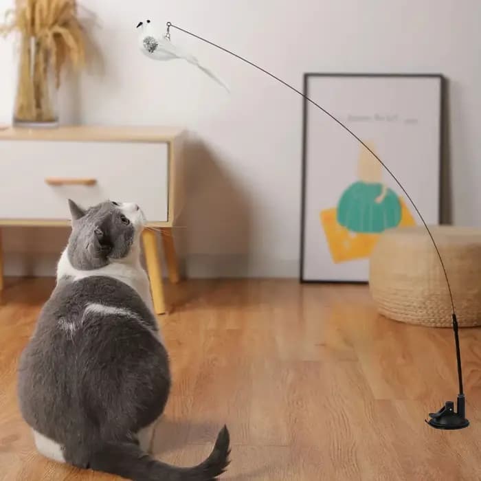 Jouet interactif pour chat en forme de paon avec clochette