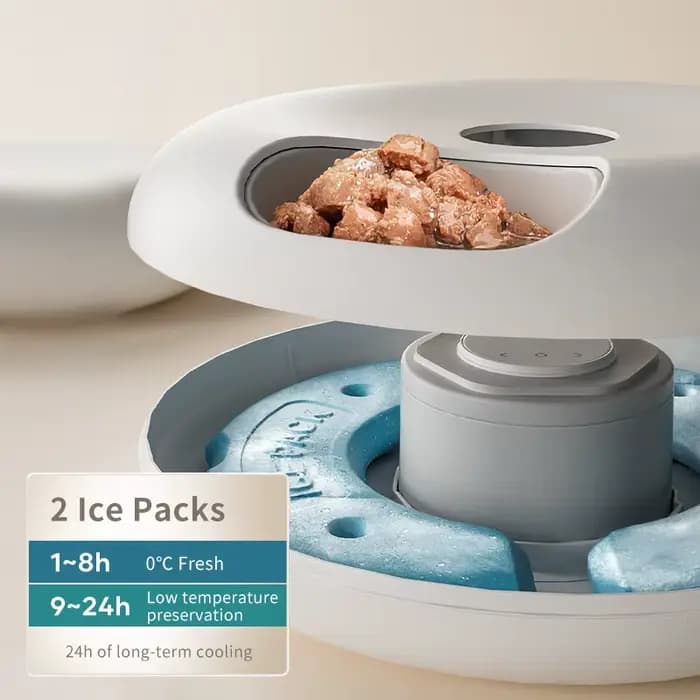 ROJECO 6 repas mangeoire automatique pour animaux de compagnie distributeur de nourriture pour chat intelligent pour