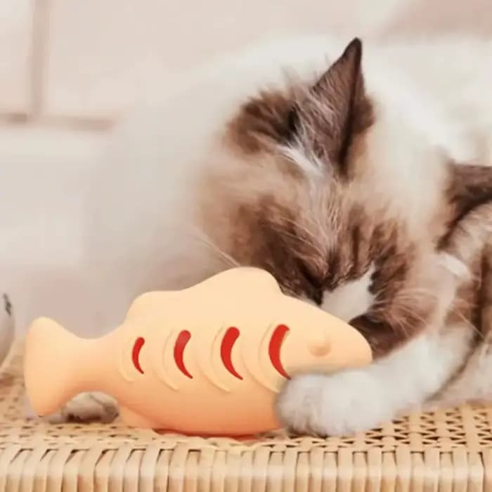 Jouet pour chat en silicone en forme de poisson