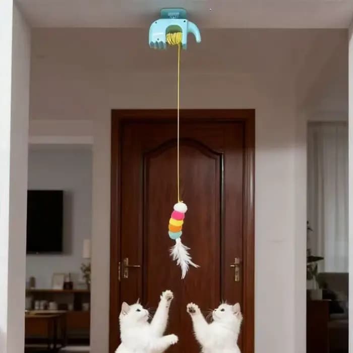 Jouet pour chat à fixation sur cadre de porte