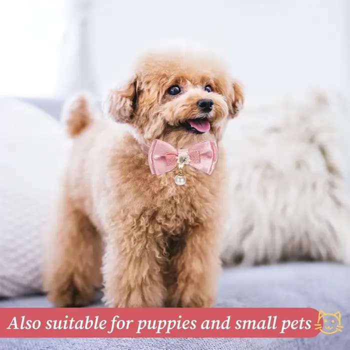 Collier Adorable pour Chat avec Nœud Papillon