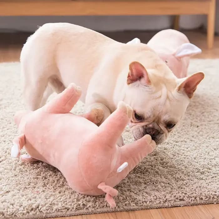 Jouet à mâcher en peluche pour animaux de compagnie