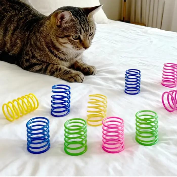 4 jouets pour chats d'intérieur