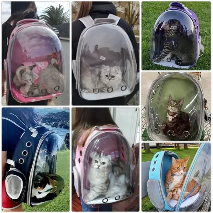 Sacs de Transport pour chats