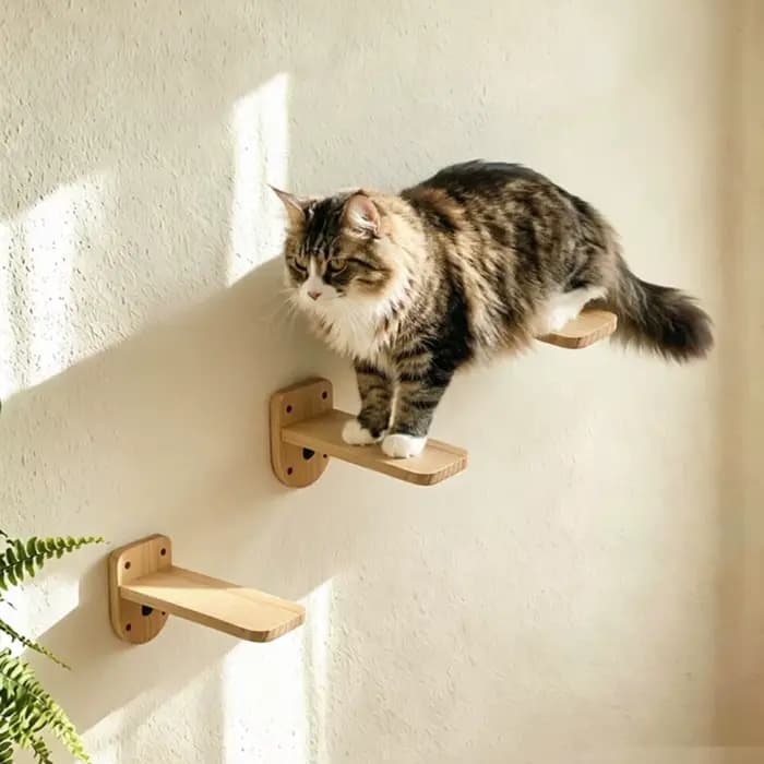 Étagères murales pour chats en bois massif