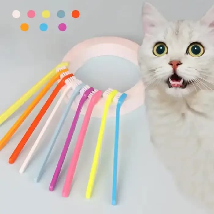 Brosse de nettoyage pour dents de chat et chien