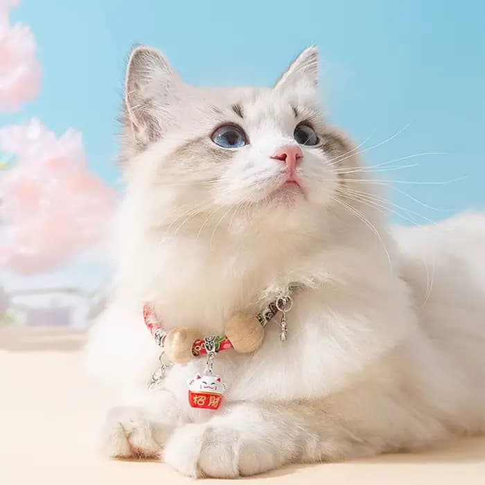 Collier réglable pour animaux de compagnie