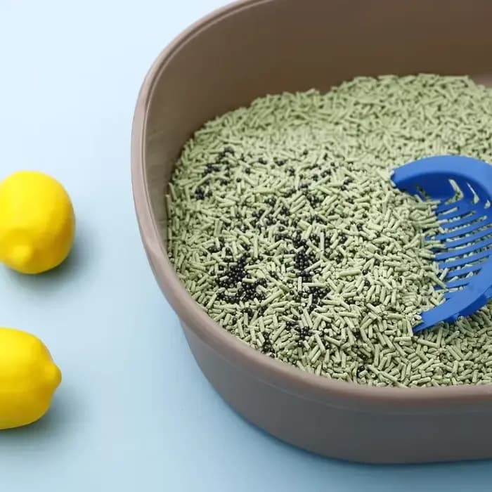 Désodorisant pour litière pour chat au charbon actif