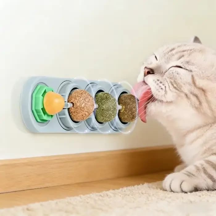 Boules de Catnip 4-en-1 : Friandise Léchable pour Chat