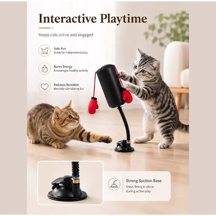 Jouet interactif pour chat : Gants de boxe amusants pour l'entraînement et le divertissement – Soulage l'ennui et aide à la relaxation et à la décompression
