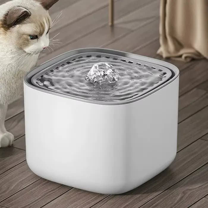 Filtre de fontaine à eau pour animaux de compagnie, accessoires de filtre remplaçables, fournitures pour chats, 12 pièces