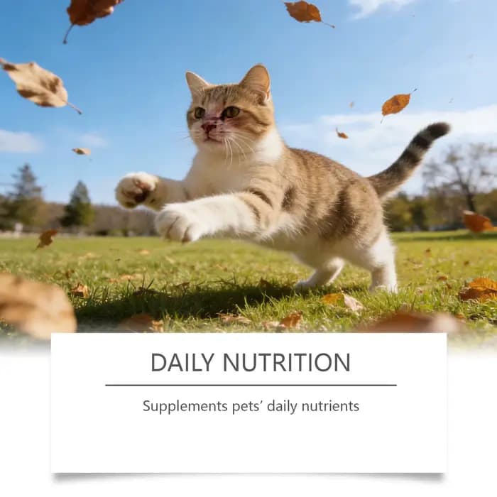 Poudre de santé pour chat tout-en-un