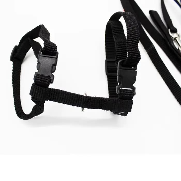 Collier réglable en nylon pour animal de compagnie