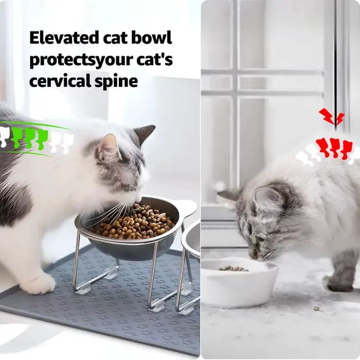  Bol pour chat surélevé en acier inoxydable 304 avec 15 ° Protège-cou incliné au design