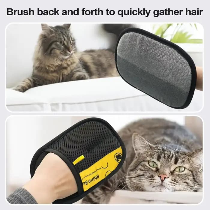 Gants de toilettage pour chat, brosse électrostatique pour enlever les poils d'animaux, pour nettoyer les canapés, les tapis et les vêtements, éliminateur de poils d'animaux double face