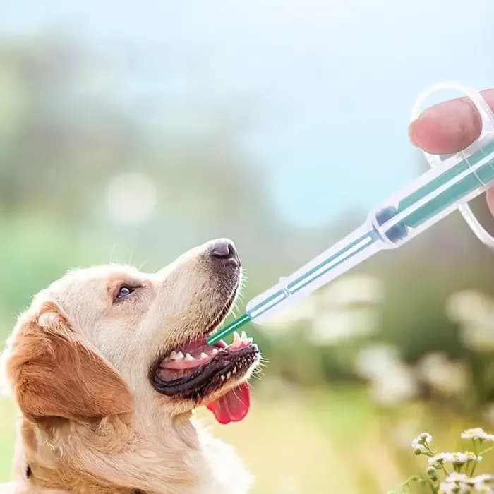 Distributeur de médicaments pour animaux de compagnie