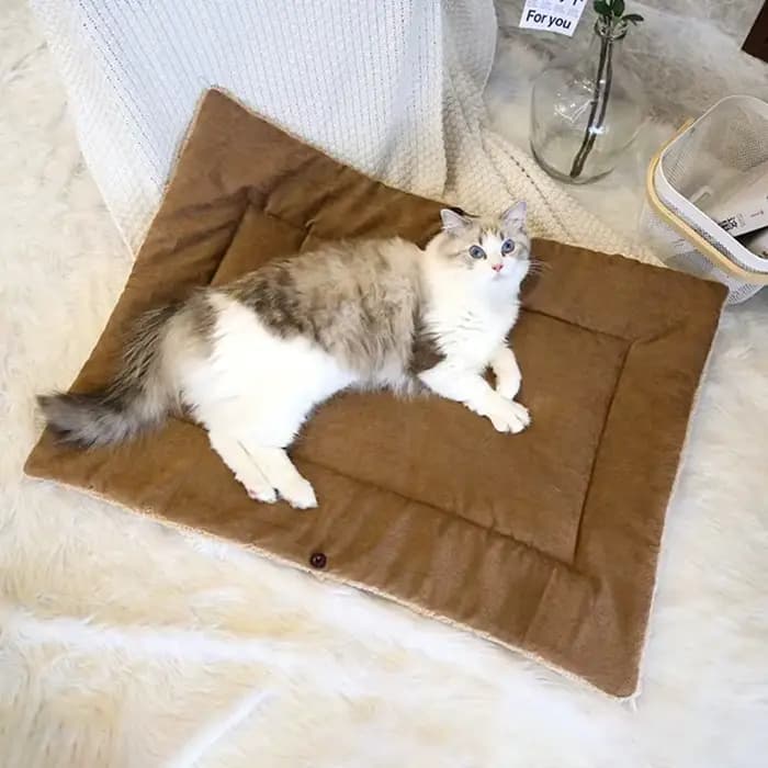 Lits en Polymères pour Chats et Chiots