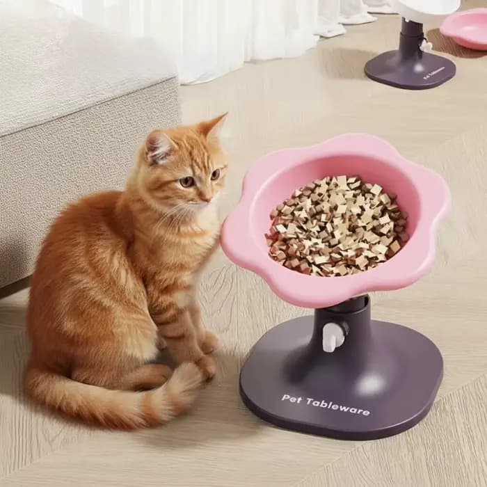Bol à pieds hauts pour animaux de compagnie