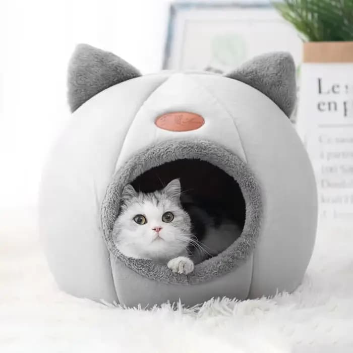 Tente pour animaux de compagnie