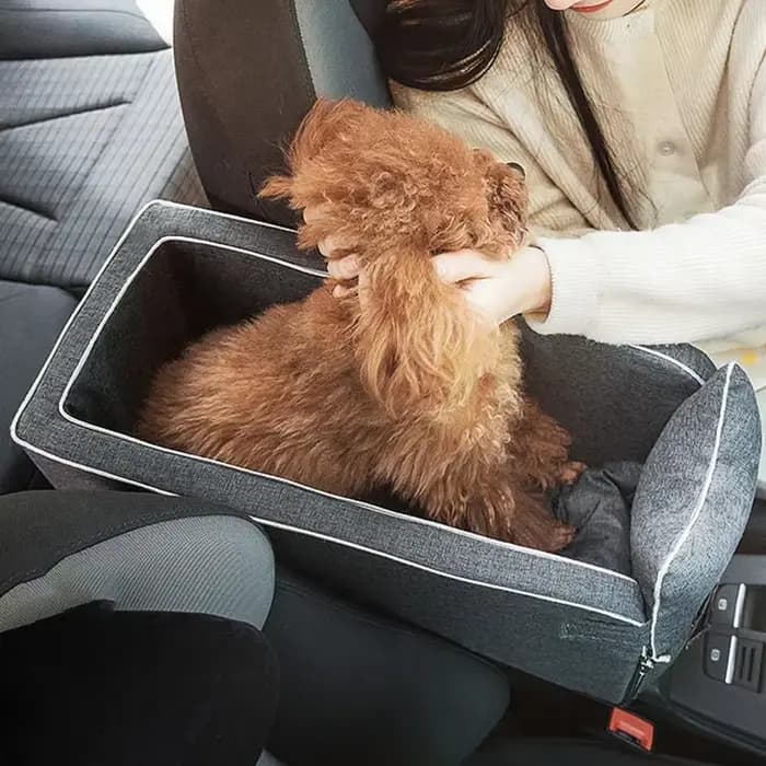 Maison chat accessoires Portable chien