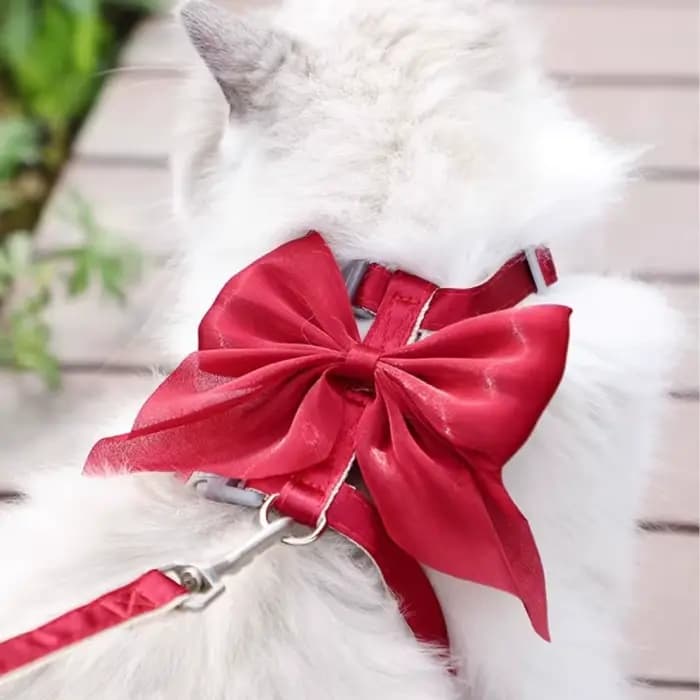 Harnais réglable pour animaux de compagnie avec corde de Traction pour chaton chiot lapin furet mignon chat