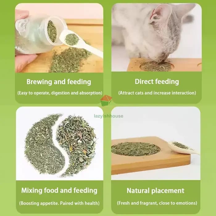 Mélange de Catnip Bio Premium Sûr