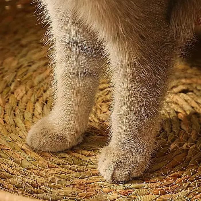 Panier-lit pour chat, coussin tissé à la main et tapis de repos