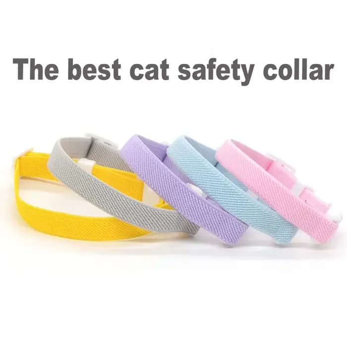 Collier de sécurité pour chat