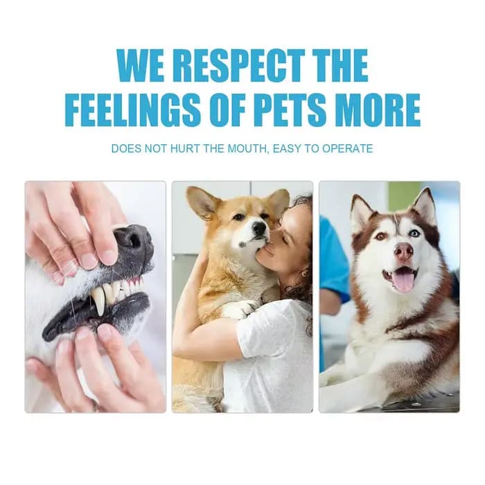 Dentifrice comestible pour animaux de compagnie