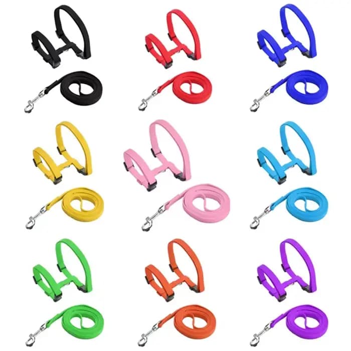 Ensemble de laisse réglable en nylon SFP pour animaux de compagnie
