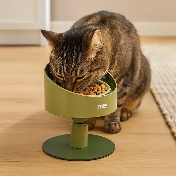 Bol de nourriture pour chat bol en céramique réglable