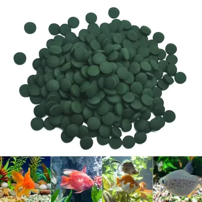 200 pièces comprimés de spiruline enrichissement nourriture pour animaux de compagnie préférée poisson cristal rouge