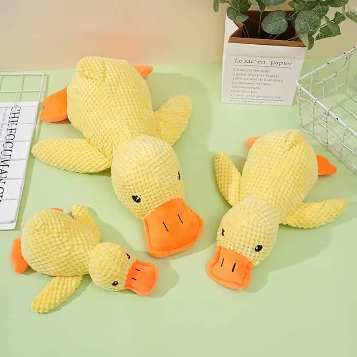 Jouet Canard Apaisant pour Chien