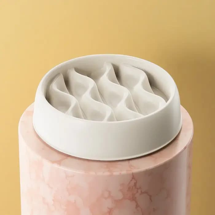 Ensemble de gamelles anti-éclaboussures pour chat : Double gamelle anti-éclaboussures – Plastique PP épais pour une alimentation sans désordre et la prévention des étouffements 