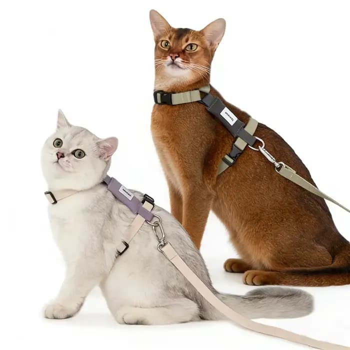Harnais et laisse anti-évasion en forme de I pour chat HiDREAM – Contrôle facile sans étranglement pour la promenade en extérieur – Gilet anti-torsion pour chats