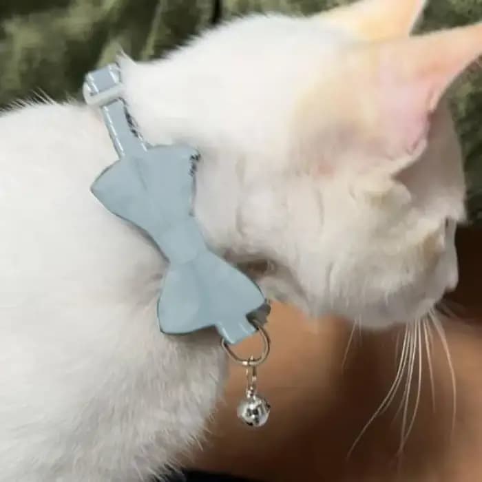 Collier pour chat avec clochette et nœud papillon