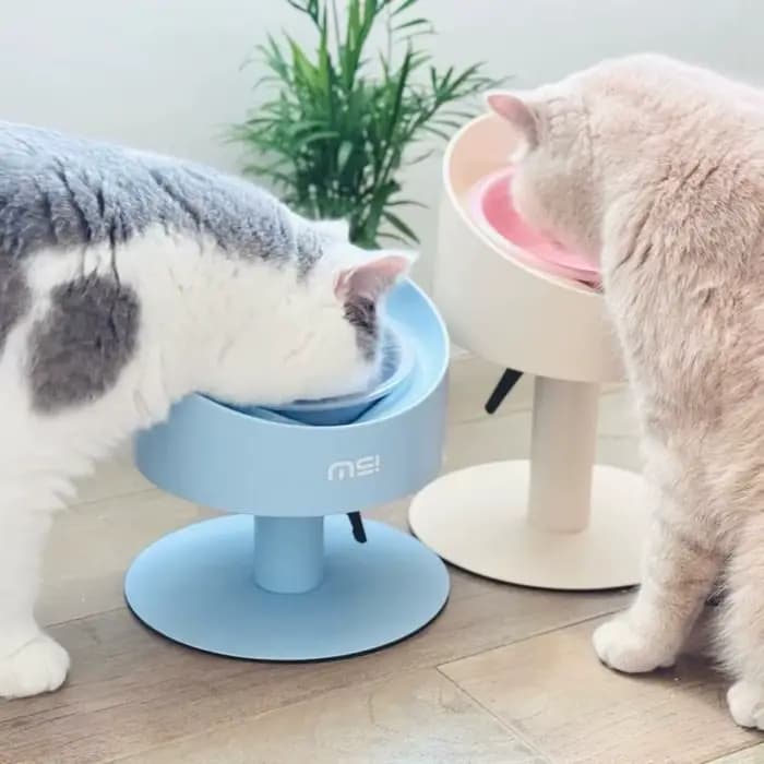 Bol de nourriture pour chat bol en céramique réglable