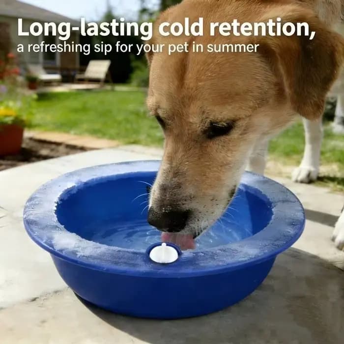 Bol rafraîchissant pour chien à injection d'eau – Soulage la chaleur, rétention de froid longue durée, gamelle d'eau froide pour animaux de compagnie