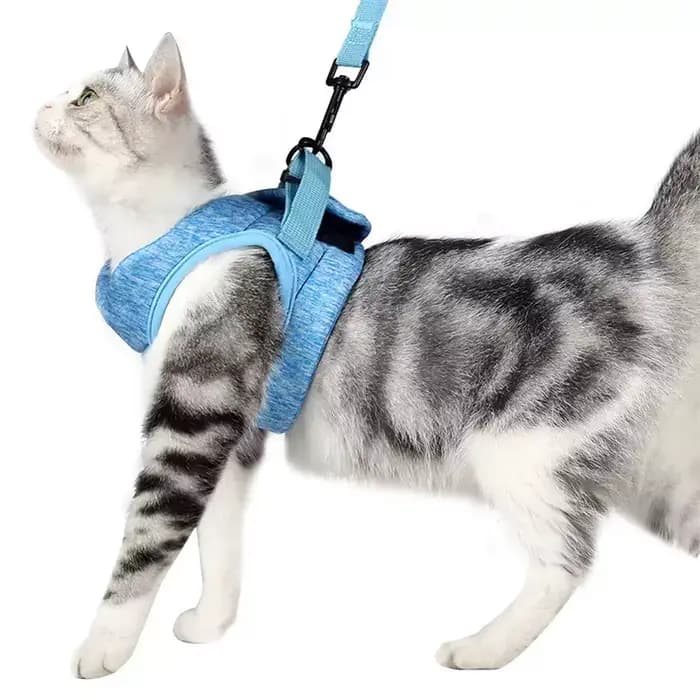 Harnais réglable pour chat avec laisse